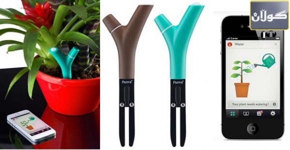 گوڵ و گیاكانیش زهنگ بۆ مۆبایلهكهت لێدهدهن!